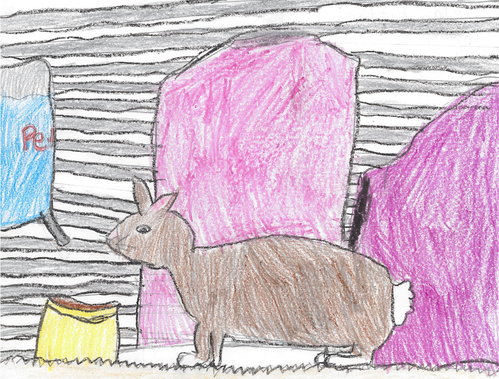 Angela Rattan, grade 2, Oakdale